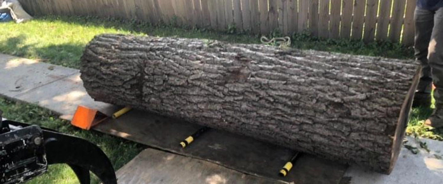 log being hauled by arborists