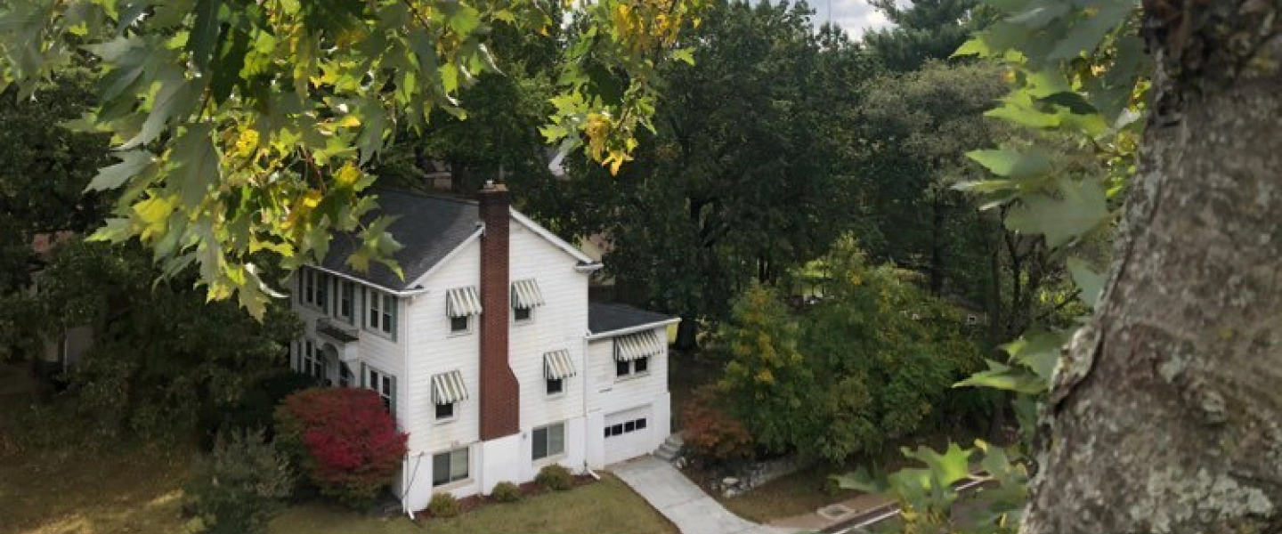 white house surrounded by trees